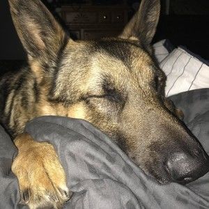 Meet your Posher, Marcy